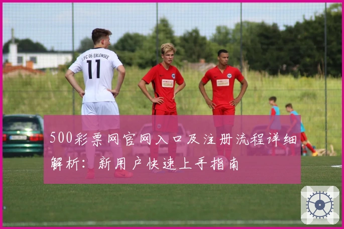 500彩票网官网入口及注册流程详细解析：新用户快速上手指南