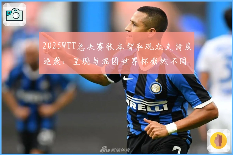 2025WTT总决赛张本智和观众支持度逆袭，呈现与混团世界杯截然不同局面